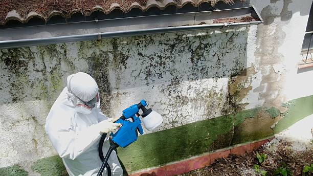 Top rated local Crawl Space Mold Removal specialists in Immaculata, PA